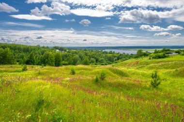 Yaz manzarası, büyük bir nehir, nehrin kıyısında çayır çiçekleri, gökyüzünde güçlü bulutlar, Kama Nehri boyunca bir turist yürüyüşü.