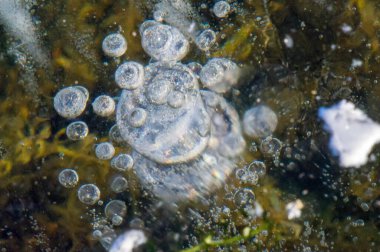 Doku yapısı arka planda beyaz kış, nehir buzu hava kabarcıkları durgun. Buz üzerindeki çizimler oluştu. Şiddetli soğuk su. Bir kanalda denize akan büyük doğal bir su akıntısı, bir göl.