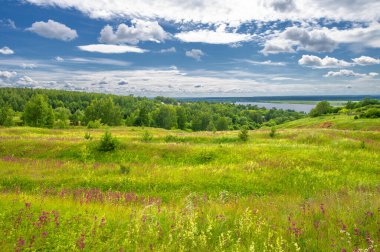 Yaz manzarası, büyük bir nehir, nehrin kıyısında çayır çiçekleri, gökyüzünde güçlü bulutlar, Kama Nehri boyunca bir turist yürüyüşü.