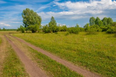 Yaz manzarası, gök gürültülü bulutlar, mavi gökyüzü, sel basmış çayır tarlaları, yaz renklerinin kokusu ve çeşitli kır çiçekleri.