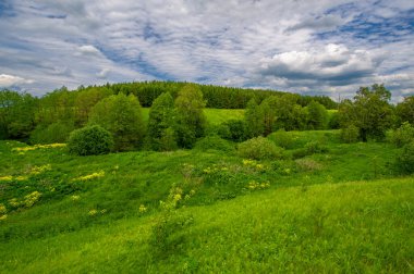 Yaz manzarası, kırsal alan, parlak yeşil çimenler ve ağaçlar, beyaz bulutlu mavi gökyüzü, harika yaz havası.