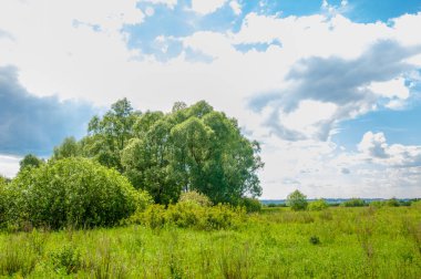 Yaz manzarası, gök gürültülü bulutlar, mavi gökyüzü, sel basmış çayır tarlaları, yaz renklerinin kokusu ve çeşitli kır çiçekleri.