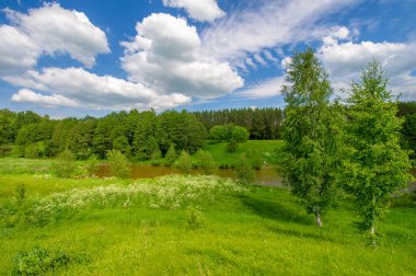 Yaz manzarası, kırsal alan, parlak yeşil çimenler ve ağaçlar, beyaz bulutlu mavi gökyüzü, harika yaz havası.