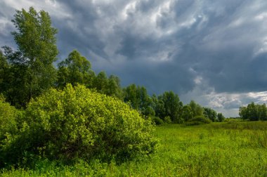 Yaz manzarası, gök gürültülü bulutlar, mavi gökyüzü, sel basmış çayır tarlaları, yaz renklerinin kokusu ve çeşitli kır çiçekleri.