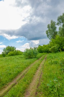 Yaz manzarası, gök gürültülü bulutlar, mavi gökyüzü, sel basmış çayır tarlaları, yaz renklerinin kokusu ve çeşitli kır çiçekleri.