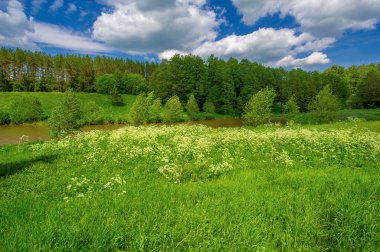 Yaz manzarası, kırsal alan, parlak yeşil çimenler ve ağaçlar, beyaz bulutlu mavi gökyüzü, harika yaz havası.