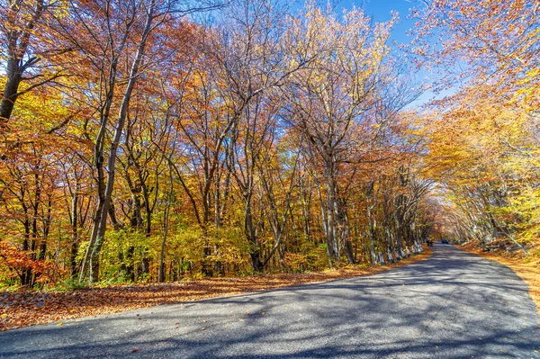 Podzimní Fotografie Krymského Poloostrova Stará Dálnice Kouzlo Nálady Staré Silnice — Stock fotografie