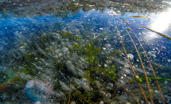 Frost Street Ice River Ice Bubbles Stuck Ice Unusually Colorful — Stock Photo, Image