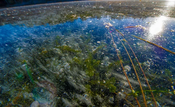 Улице Мороз Реке Лед Ледяные Пузырьки Застряли Льду Необычайно Красочная — стоковое фото