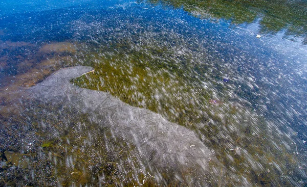 Gelo Sulla Strada Ghiaccio Sul Fiume Bolle Ghiaccio Bloccate Nel — Foto Stock