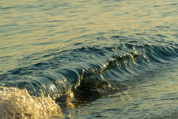 Shallow Depth Field Light Wind Waves Local Weak Coastal Wind — Stock Photo, Image