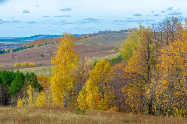 Fotografía Paisaje Otoñal Mejor Fotógrafo Bosques Mixtos Estado Otoñal Hojas — Foto de Stock