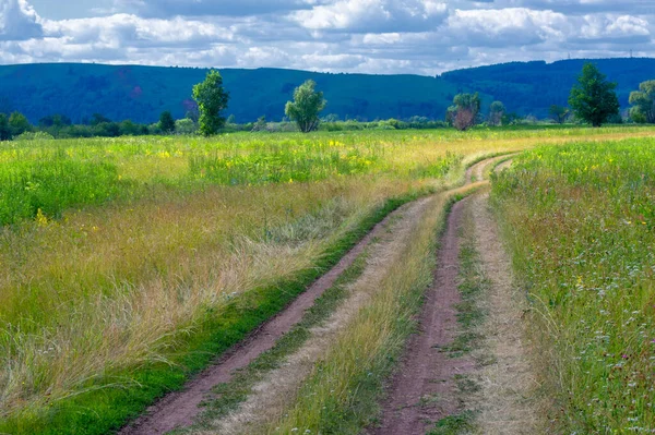 Letní Fotka Povodňové Louky — Stock fotografie