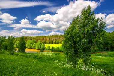 Yaz manzarası, kırsal alan, parlak yeşil çimenler ve ağaçlar, beyaz bulutlu mavi gökyüzü, harika yaz havası.