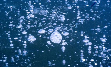 Sokakta buz var, nehirde buz var, buz kabarcıkları buzda sıkışmış, alışılmadık renkte buz mimarisi