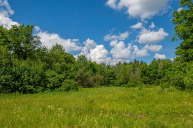 Yaz manzarası, gök gürültülü bulutlar, mavi gökyüzü, sel basmış çayır tarlaları, yaz renklerinin kokusu ve çeşitli kır çiçekleri.
