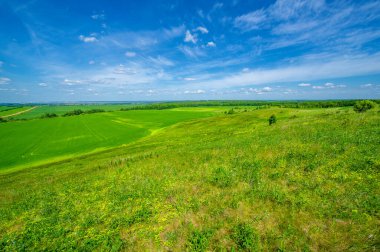Yaz manzarası, kırsal alan, parlak yeşil çimenler ve ağaçlar, beyaz bulutlu mavi gökyüzü, harika yaz havası.