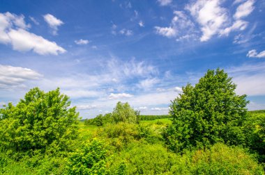 Yaz manzarası, kırsal alan, parlak yeşil çimenler ve ağaçlar, beyaz bulutlu mavi gökyüzü, harika yaz havası.