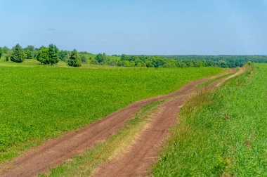Yaz manzarası, kara topraktan toprak yol, mavi bulutsuz gökyüzü, yeşil buğday, Avrupa 'da bir yürüyüş.