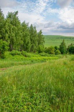 Yaz manzarası, orman kenarı ağaçlar ve çalılıklarla kaplı geniş bir alan. bir nesnenin, alanın ya da yüzeyin dış sınırı