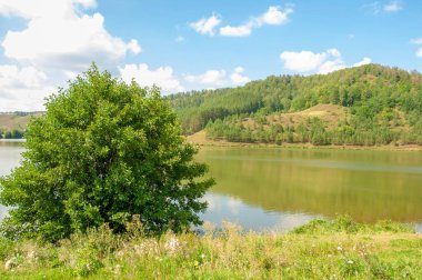 Yaz manzara fotoğrafçılığı, gölü olan yuvarlanan tepeler, Orta Avrupa