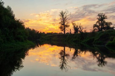 Yaz manzarası fotoğrafı, Şafak vakti gün batımı güzel boyalar gökyüzü, pastel gölgeler, batan güneşin gölgesindeki ağaçlar.