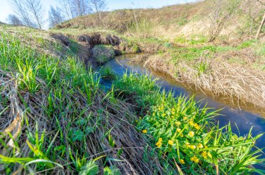 Manzara, akarsu, Bahar, Vadi 'nin fotoğrafları akan su tarafından oluşturulan ve genellikle bir yamaçta hızla toprağa çöken bir rahatlamadır. Güller büyük hendeklere ya da küçük vadilere benzer.,