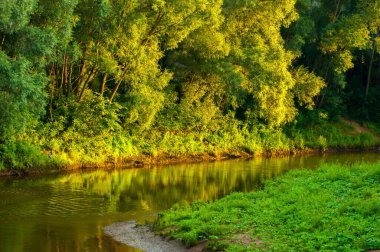 Yaz manzarası. Nehir gün batımında küçüktür. Ağaçlar dik kıyılarla kaplıdır.,
