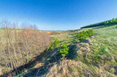 Manzara, akarsu, Bahar, Vadi 'nin fotoğrafları akan su tarafından oluşturulan ve genellikle bir yamaçta hızla toprağa çöken bir rahatlamadır. Güller büyük hendeklere ya da küçük vadilere benzer.,