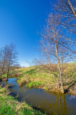 Manzara, akarsu, Bahar, Vadi 'nin fotoğrafları akan su tarafından oluşturulan ve genellikle bir yamaçta hızla toprağa çöken bir rahatlamadır. Güller büyük hendeklere ya da küçük vadilere benzer.,