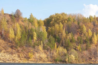 Sonbahar manzarası, nehir, rüzgarlı hava, koyu mavi su, ağaçlardaki sarı-kırmızı sonbahar yaprakları, son sıcak günler.