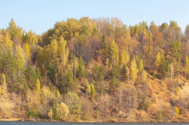 Sonbahar manzarası, koyu mavi su, son sıcak günler, nehir, ağaçlar, rüzgarlı hava, sarı-kırmızı sonbahar yaprakları.