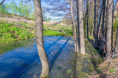 Manzara, akarsu, Bahar, Vadi 'nin fotoğrafları akan su tarafından oluşturulan ve genellikle bir yamaçta hızla toprağa çöken bir rahatlamadır. Güller büyük hendeklere ya da küçük vadilere benzer.,