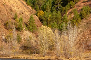 Sonbahar manzarası, koyu mavi su, son sıcak günler, nehir, ağaçlar, rüzgarlı hava, sarı-kırmızı sonbahar yaprakları.