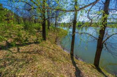 Göletin, kaynağın, huş ağacının fotoğrafları. Göl, karayla çevrili bir havzanın içinde yer alan suyla dolu bir alandır, herhangi bir nehir ya da diğer çıkış noktası hariç.
