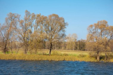 Sonbahar manzarası, koyu mavi su, son sıcak günler, nehir, ağaçlar, rüzgarlı hava, sarı-kırmızı sonbahar yaprakları.