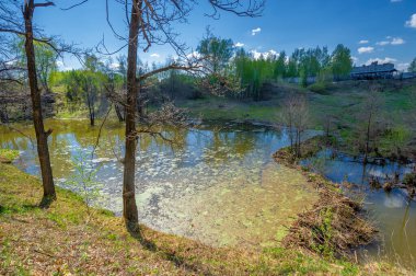 Göletin, kaynağın, huş ağacının fotoğrafları. Göl, karayla çevrili bir havzanın içinde yer alan suyla dolu bir alandır, herhangi bir nehir ya da diğer çıkış noktası hariç.