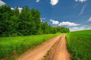 Yaz manzarası, toprak yol, yolu oluşturan sarı kil.