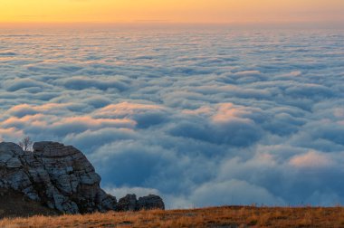 Kırım yarımadasının sonbahar fotoğrafları. Bulutların üstündeki dağlarda. Kayın, çam, boynuz, Demerdji dağlarındaki orman.