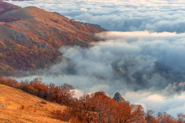 Kırım yarımadasının sonbahar fotoğrafları. Bulutların üstündeki dağlarda. Kayın, çam, boynuz, Demerdji dağlarındaki orman.