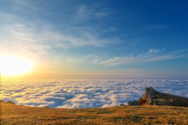 Kırım yarımadasının sonbahar fotoğrafları. Bulutların üstündeki dağlarda. Kayın, çam, boynuz, Demerdji dağlarındaki orman.