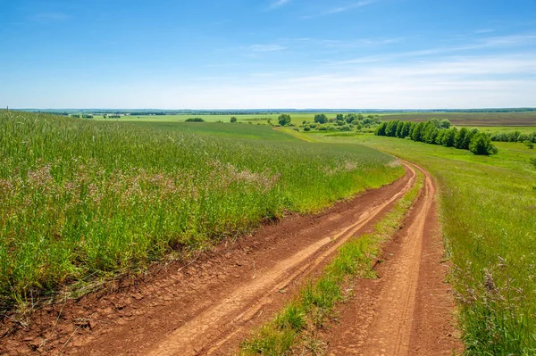 Paisaje Verano Camino Tierra Desde Suelo Negro Cielo Azul Sin — Foto de Stock