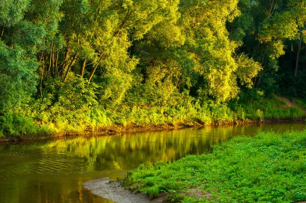 Letni Krajobraz Rzeka Jest Mała Zachodzie Słońca Drzewa Pokryte Stromymi — Zdjęcie stockowe