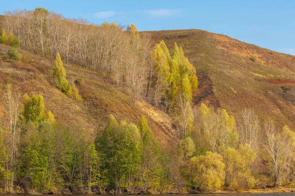 Paesaggio Autunnale Fiume Tempo Ventoso Acqua Blu Scuro Foglie Autunnali — Foto Stock