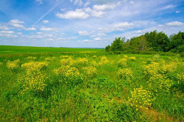 Summer Photography Landscape Red Clay Slide Summer Photography Landscape Meadow — Stock Photo, Image