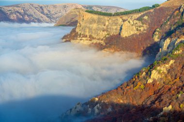 Kırım yarımadasının sonbahar fotoğrafları. Bulutların üstündeki dağlarda. Kayın, çam, boynuz, Demerdji dağlarındaki orman.