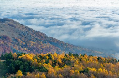 Kırım yarımadasının sonbahar fotoğrafları. Bulutların üstündeki dağlarda. Kayın, çam, boynuz, Demerdji dağlarındaki orman.