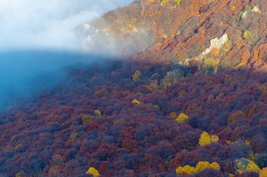 Kırım yarımadasının sonbahar fotoğrafları. Bulutların üstündeki dağlarda. Kayın, çam, boynuz, Demerdji dağlarındaki orman.