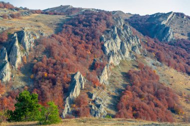 Kırım yarımadasının sonbahar fotoğrafları, Demerdzhi Dağı 'nın sisi, Karadeniz' den gelen su buharlaşması, günbatımı. Doğanın gücünün ürünü: rüzgar yağmurları ve depremler.