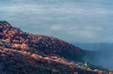 Kırım yarımadasının sonbahar fotoğrafları. Bulutların üstündeki dağlarda. Kayın, çam, boynuz, dağlardaki orman